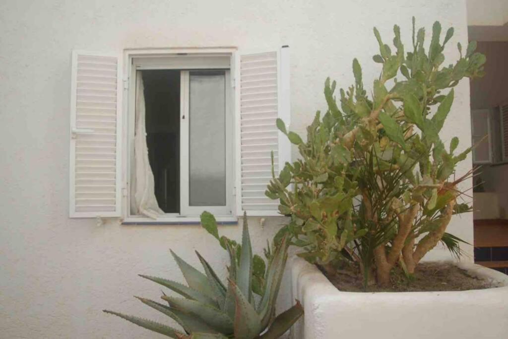 Apartamento A 2 Minutos Andando A La Playa. La Isleta del Moro Exterior foto